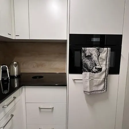 New Renovated In Center Of * Davos