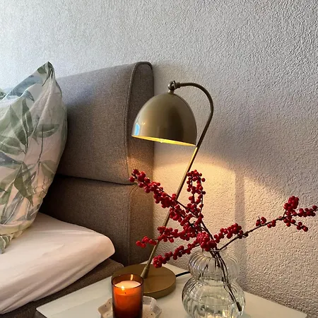 New Renovated In Center Of * ダヴォス・プラッツ