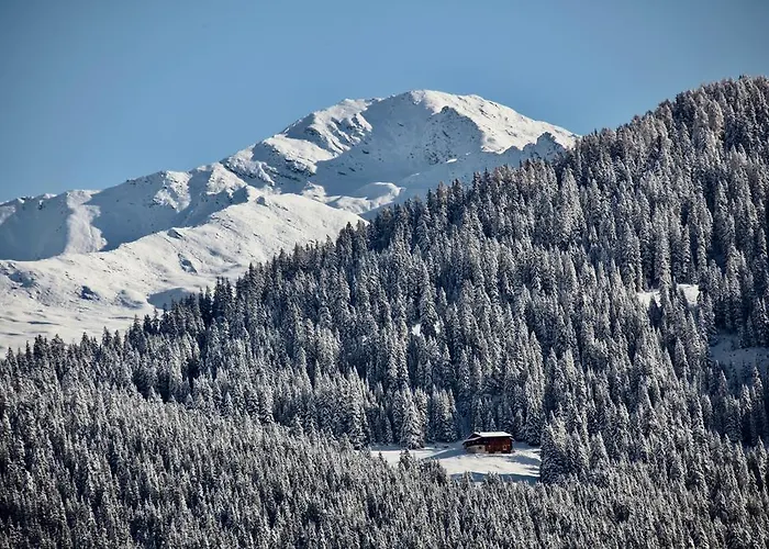 Apartment New Renovated In Center Of